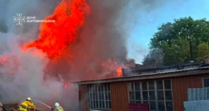 У Звягелі ледь не згорів гаражний кооператив пожежа у звягелі
