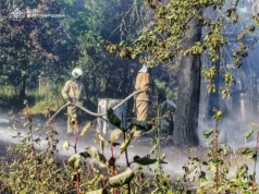 Вогонь від сухої трави на Коростенщині підібрався до дачних будинків Упродовж минулої доби рятувальники Житомирщини ліквідували 7 пожеж сухої рослинності