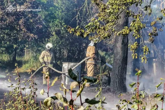 Вогонь від сухої трави на Коростенщині підібрався до дачних будинків Упродовж минулої доби рятувальники Житомирщини ліквідували 7 пожеж сухої рослинності
