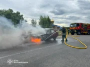 Дим з-під капота змусив водійку терміново зупинити авто горів автомобіль на дорозі