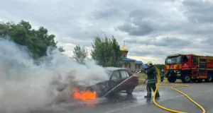 Дим з-під капота змусив водійку терміново зупинити авто горів автомобіль на дорозі