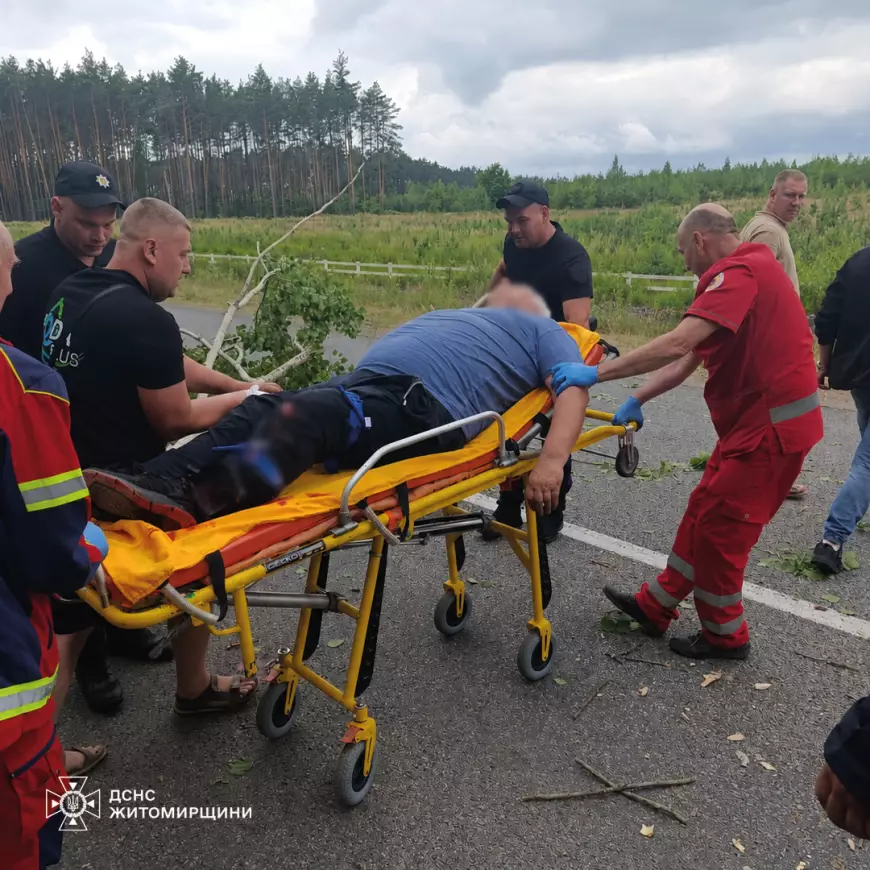 Понівечений легковик після зіткнення з деревом на Овруччині