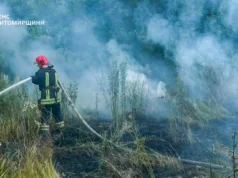 Неконтрольований вогонь на Коростенщині ніс загрозу оселям пожежі в Коростенському районі