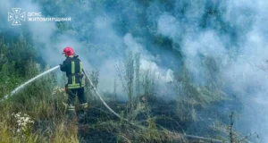 Неконтрольований вогонь на Коростенщині ніс загрозу оселям пожежі в Коростенському районі