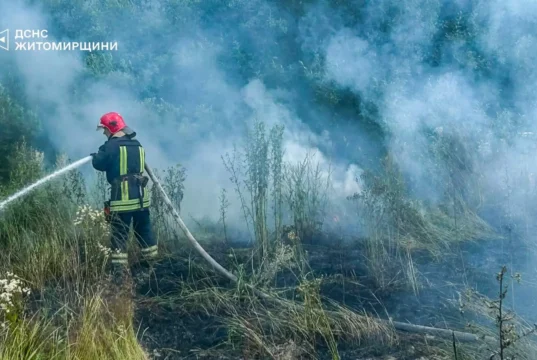 Неконтрольований вогонь на Коростенщині ніс загрозу оселям пожежі в Коростенському районі