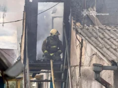Що стало причиною масштабної пожежі в Житомирі