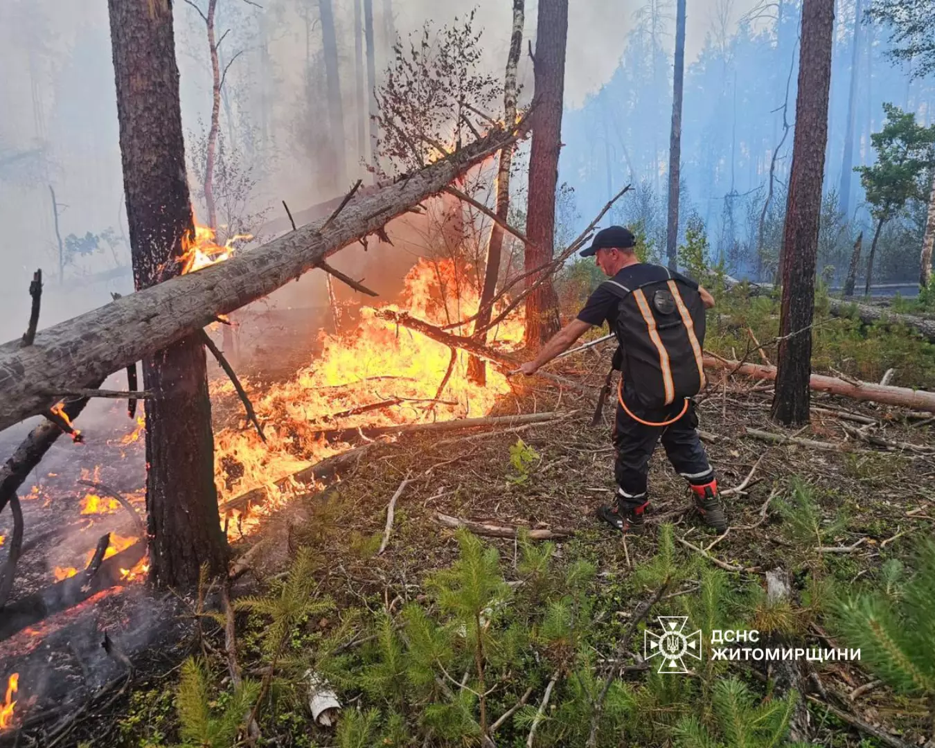 Рятувальники ДСНС ліквідовують пожежу на Житомирщині