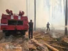 Як розгортаються події з пожежею у Коростенському лісі горить коростенський ліс