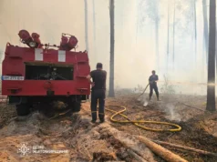 Як розгортаються події з пожежею у Коростенському лісі горить коростенський ліс
