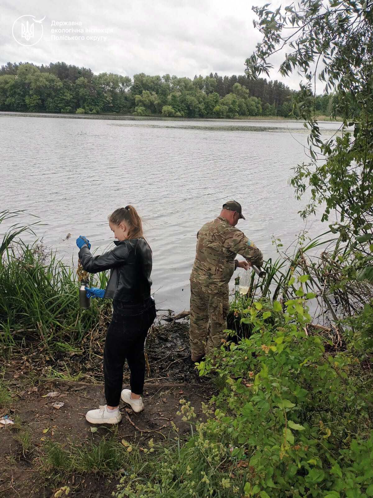 Забруднення річки Уж у Коростенському районі