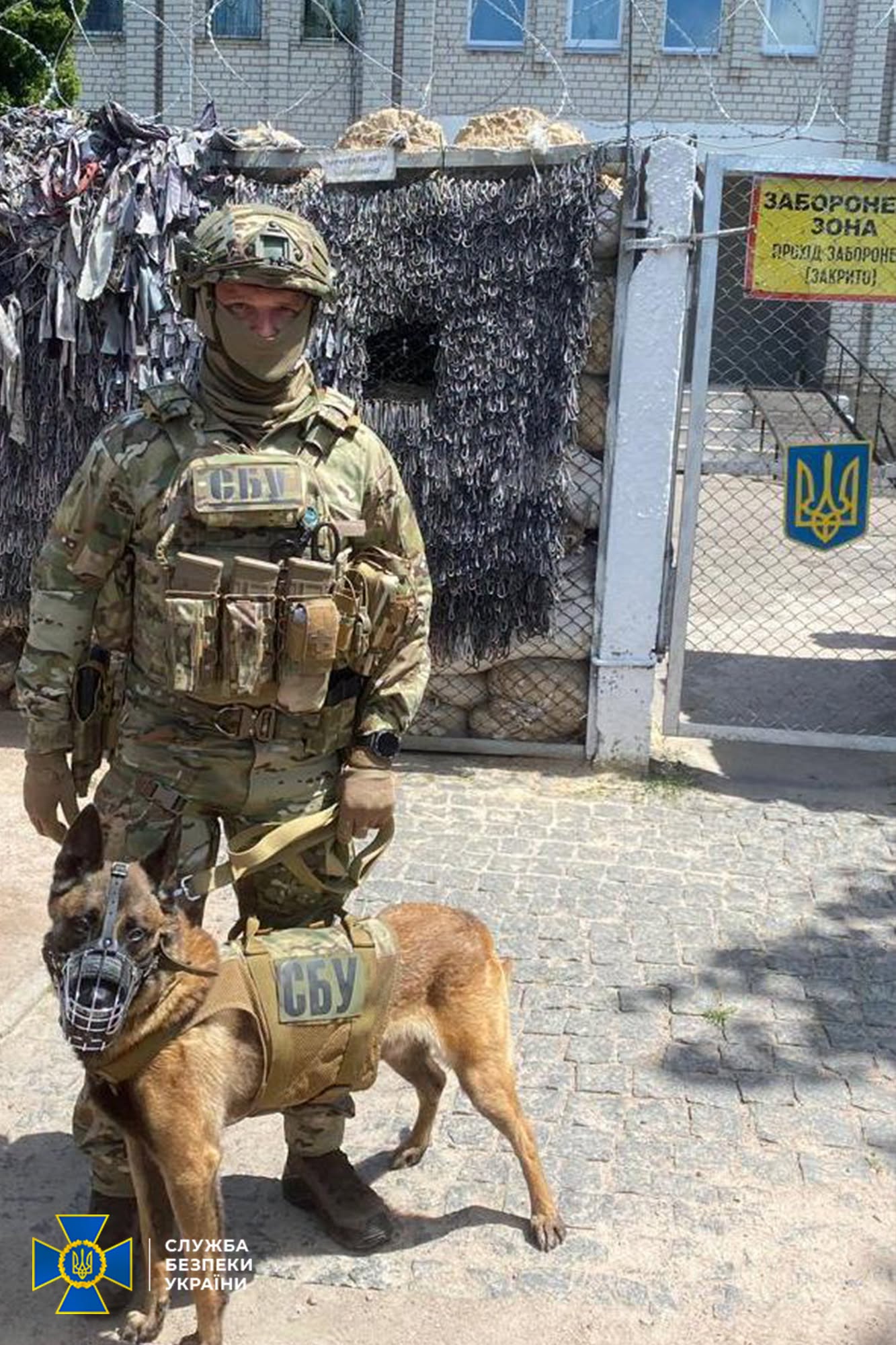 Затримання керівника підрозділу ТЦК Житомирщини