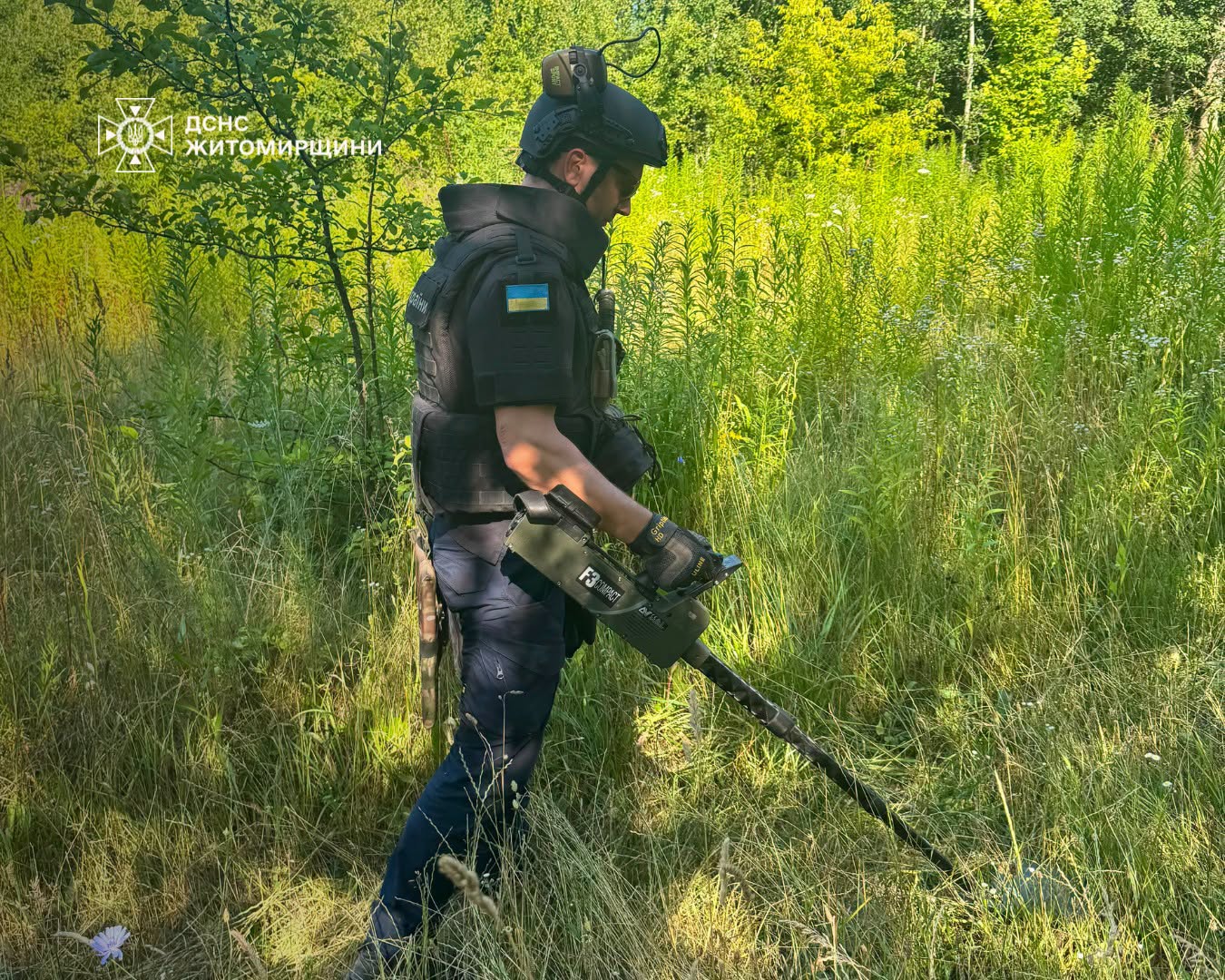 Піротехніки ДСНС обстежують територію у лісі