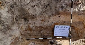 Рештки солдата Другої світової виявили на Коростенщині. Фото солдат другої світової війни