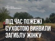 Загибеллю жінки закінчилось горіння трави на Звягельщині загинула жінка при пожежі
