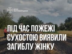 Загибеллю жінки закінчилось горіння трави на Звягельщині загинула жінка при пожежі