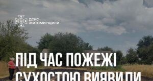 Загибеллю жінки закінчилось горіння трави на Звягельщині загинула жінка при пожежі