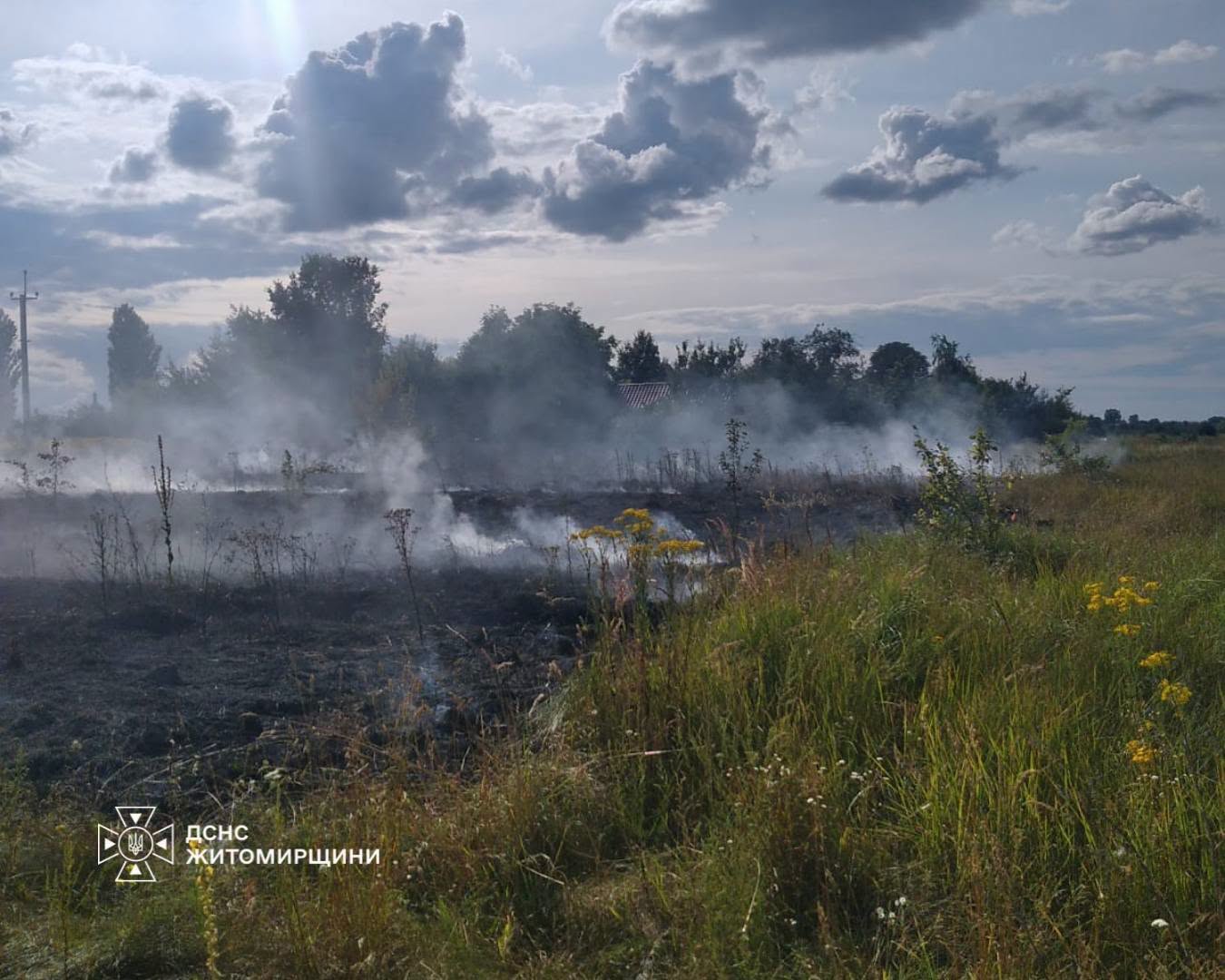 Рятувальники ДСНС гасять сухостій