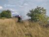Вітер гнав полум’я на пшеницю під час пожеж на Житомирщині горіла пшениця у Житомирському районі