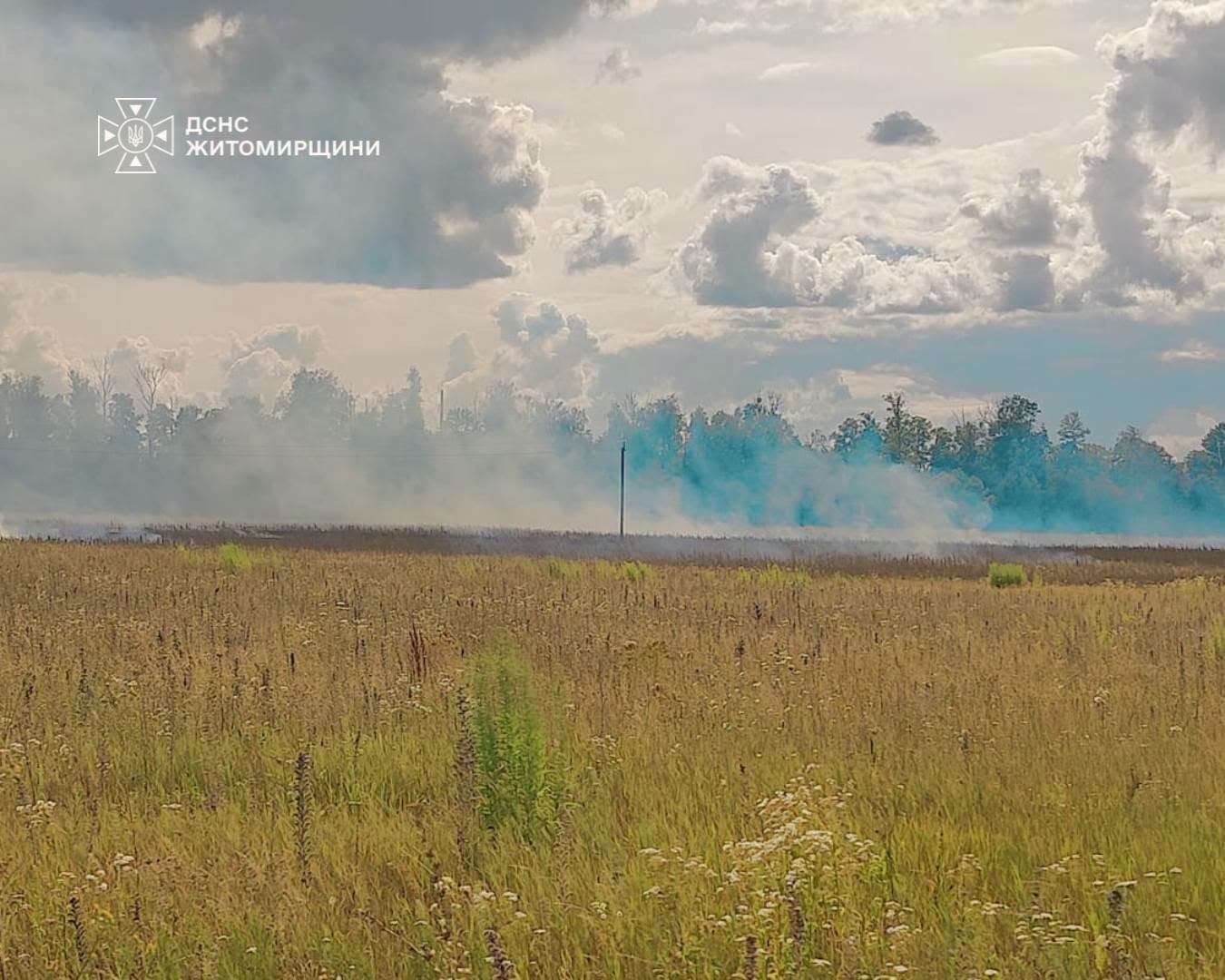 Ліквідована пожежа сухостою Житомирщина