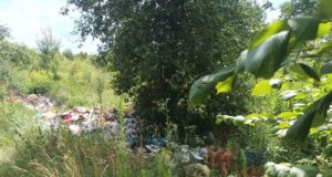 Люди скаржились – ДЕІ перевірили сміттєзвалище у Чоповичах сміттєзвалище в чоповичах