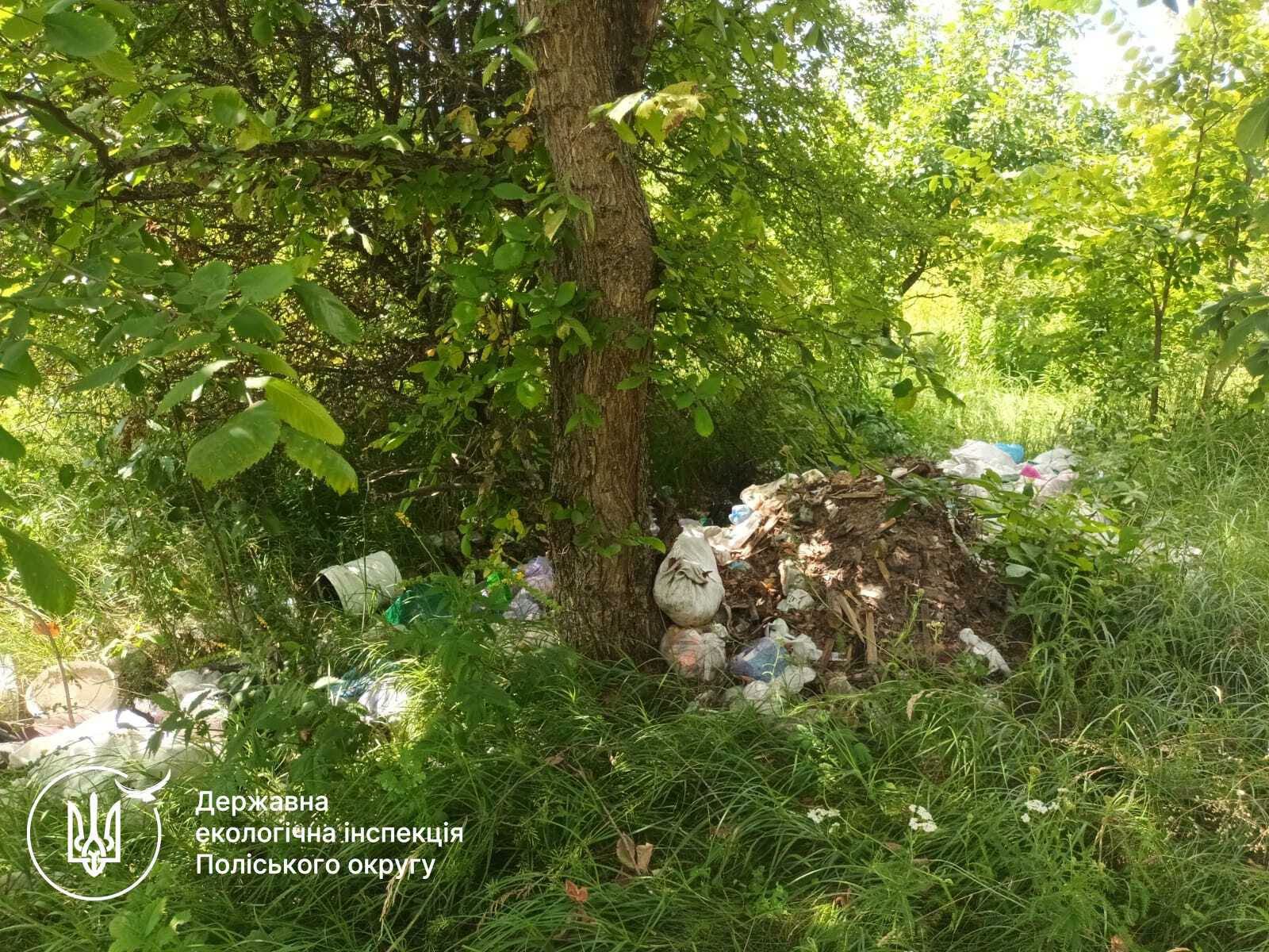 Стихійне сміттєзвалище у Чоповицькій громаді