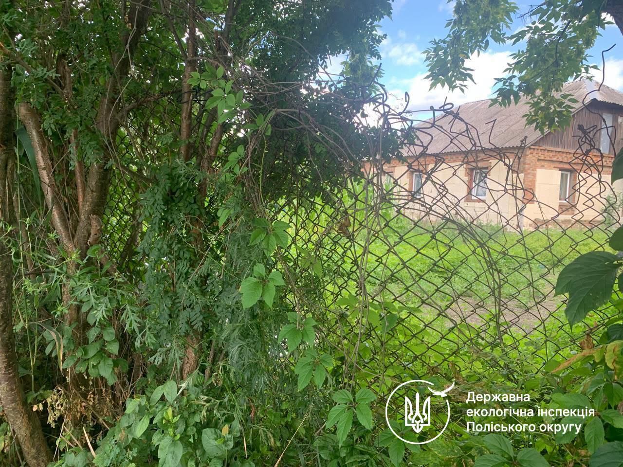 Огорожа біля водойми у Бердичеві
