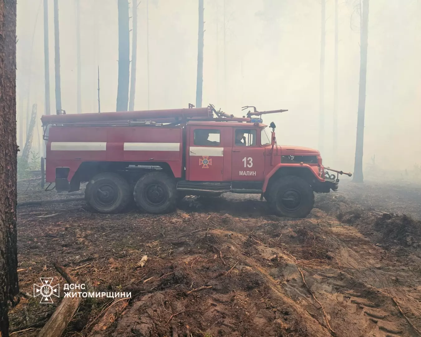 Наслідки лісової пожежі на Житомирщині