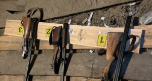 Чоловік підстрелив двох людей на полюванні на Олевщині вистрілив у людину на полювання