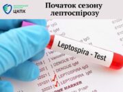 Стартував сезон лептоспірозу – що це та як вберегтися лептоспіроз