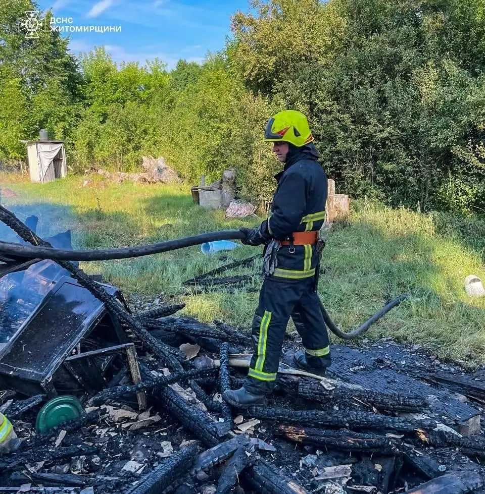 Робота рятувальників ДСНС під час пожежі