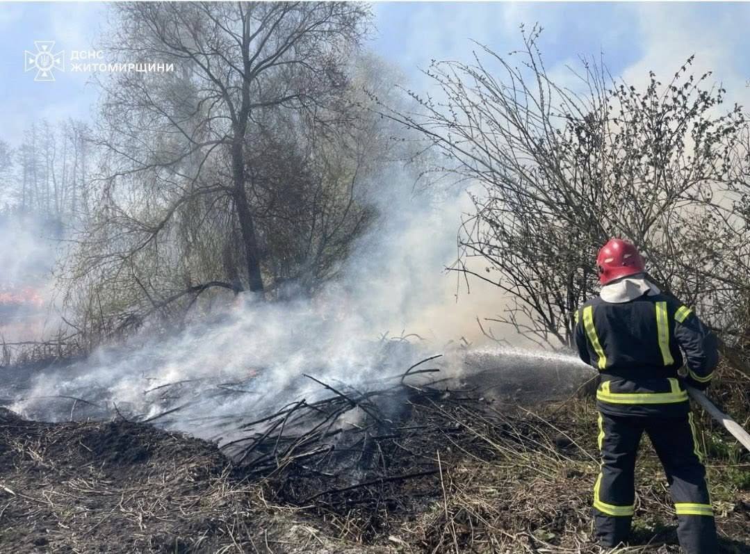 Пожежа сухої трави на Житомирщині