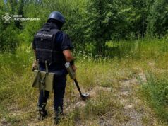 Знайшли місцеві жителі: на Бердичівщині ДСНС знищила небезпечний боєприпас