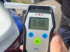 Скільки п’яних водіїв зупинили в області протягом вихідних п'яні водії у Житомирі