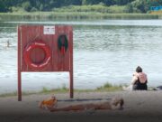 Куди житомирянам тікати від спеки та де безпечно купатися