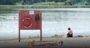 Куди житомирянам тікати від спеки та де безпечно купатися