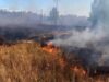Майже три гектари попелу за добу на Житомирщині