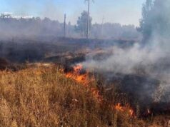 Майже три гектари попелу за добу на Житомирщині