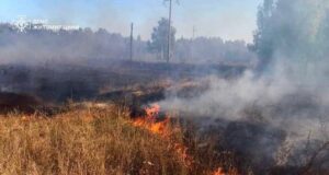 Майже три гектари попелу за добу на Житомирщині