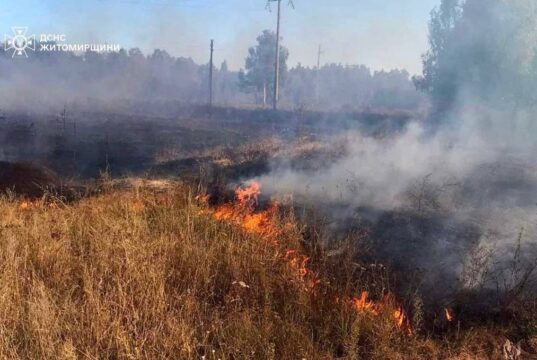 Майже три гектари попелу за добу на Житомирщині
