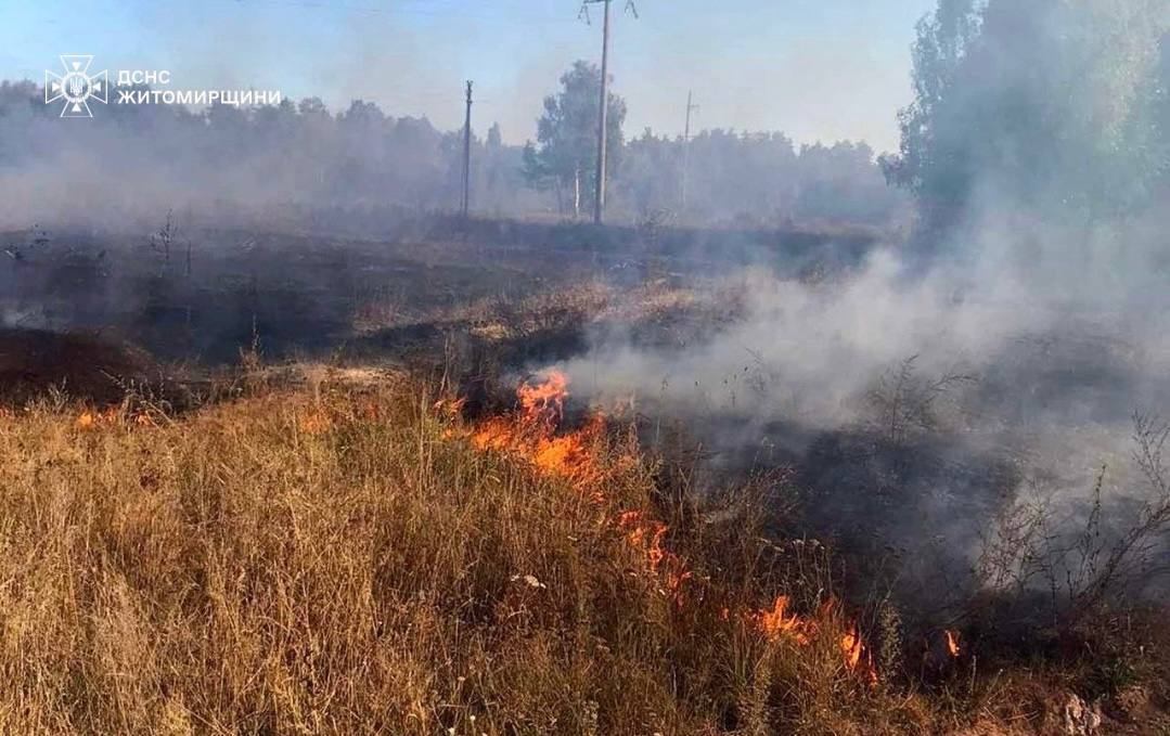 Рятувальники ДСНС ліквідовують пожежу на відкритій території