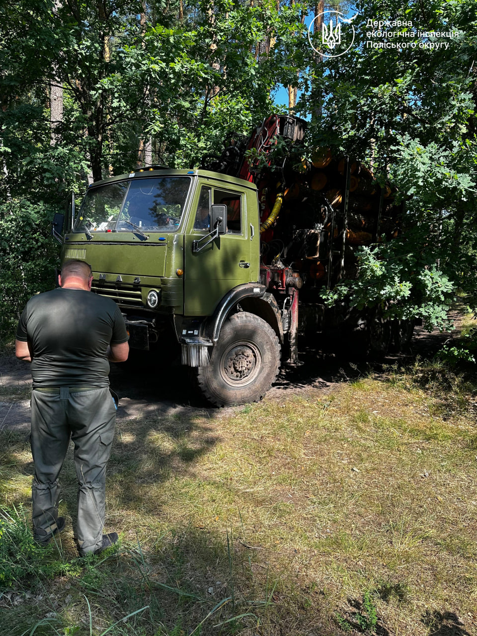 Перевірка лісовозів на Житомирщині