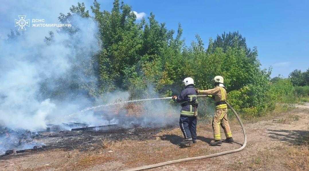 Наслідки випалювання сухостою в області