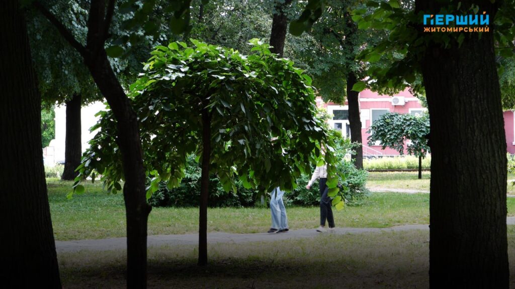прогноз погоди на липень