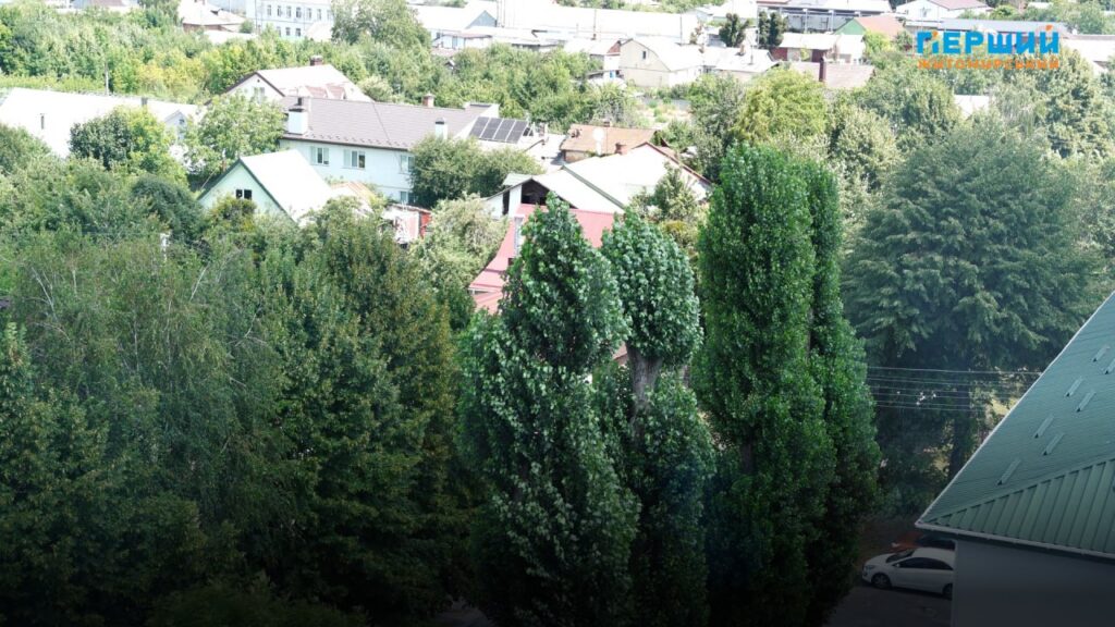 Шквали та грози накриють Житомирщину перед новим ударом спеки