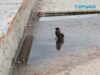 Як липнева злива освіжила вулиці Житомира. Фоторепортаж