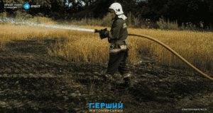 Сотні займань і загроза будинкам через суху траву на Житомирщині