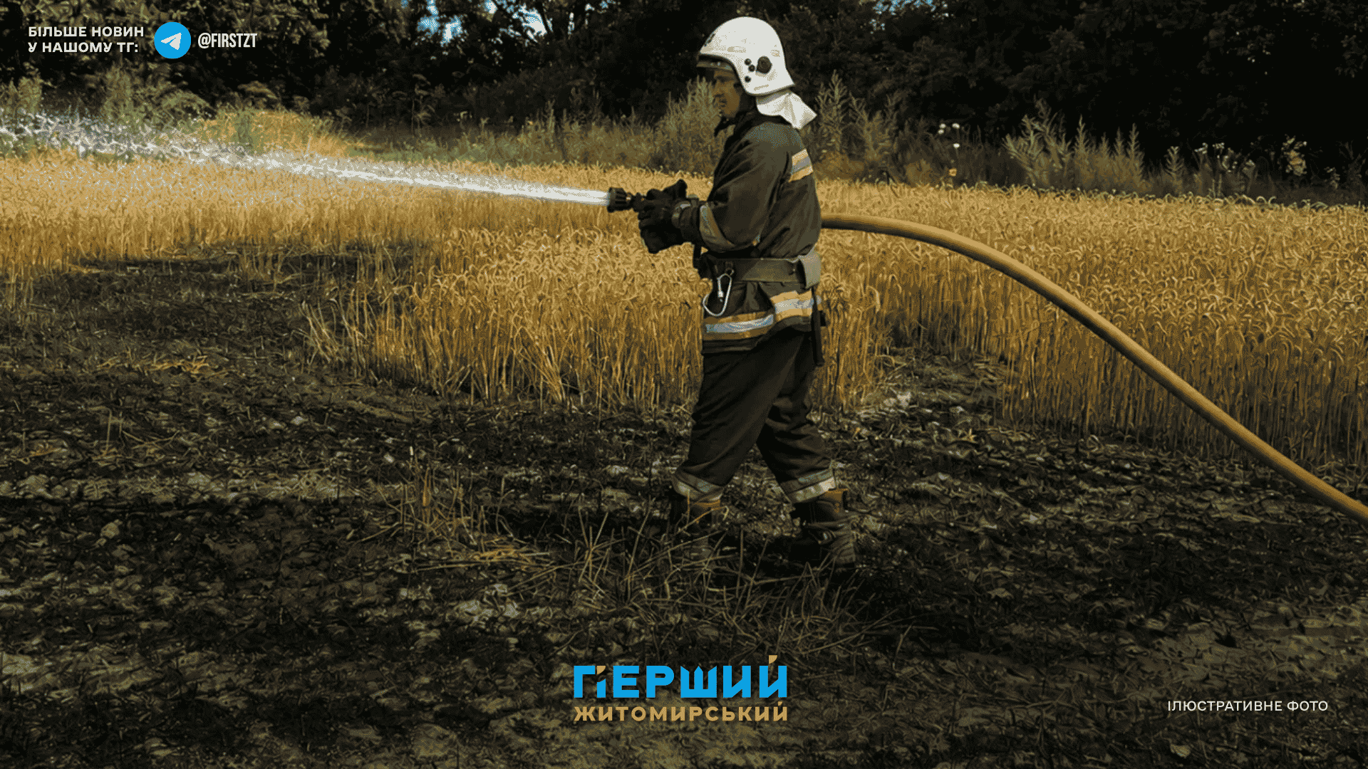 Сотні займань і загроза будинкам через суху траву на...