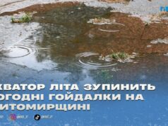 Екватор літа нарешті принесе на Житомирщину комфортну погоду
