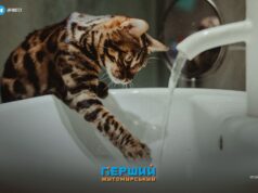 Чому частина Житомира залишиться без води 13 липня