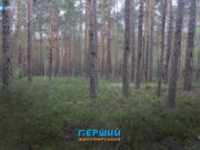 Верховний Суд став на захист унікального пралісу в області